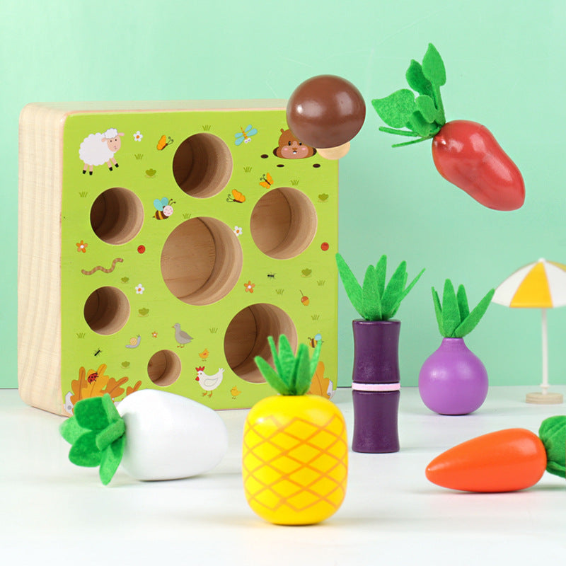 Creative Wooden Pull Radish Size Matching Toy